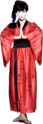 Unbranded Fancy Dress - Adult Japanese Geisha Costume