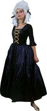 Unbranded Fancy Dress - Adult Marquis Lady Costume
