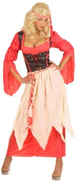 Unbranded Fancy Dress - Adult Medieval Maid Costume (FC)