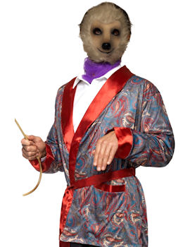 Unbranded Fancy Dress - Adult Meerkat Mask