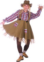 Unbranded Fancy Dress - Adult Miss Scarecrow Costume