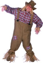 Unbranded Fancy Dress - Adult Mr Scarecrow Costume