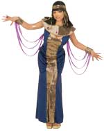 Unbranded Fancy Dress - Adult Nefertiti Egyptian Costume (FC)