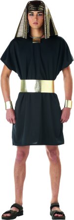 Unbranded Fancy Dress - Adult Pharaoh Costume