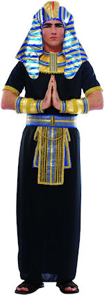 Unbranded Fancy Dress - Adult Pharoah Egyptian Costume