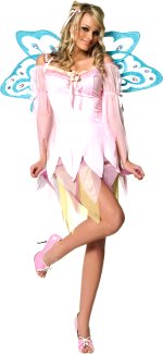 Unbranded Fancy Dress - Adult Pink Nymph Fairy Costume Small/Medium