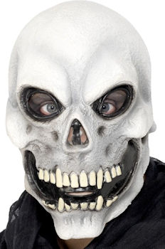 Unbranded Fancy Dress - Adult Skull Mask