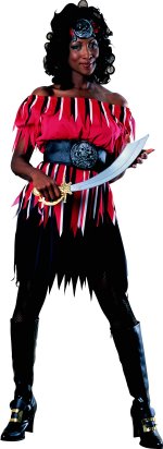 Unbranded Fancy Dress - Adult Treasure Huntress Pirate Costume