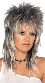 Unbranded Fancy Dress - Adult Unisex Rocker Long