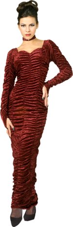 Unbranded Fancy Dress - Adult Vampire Coffin Dress Burgundy