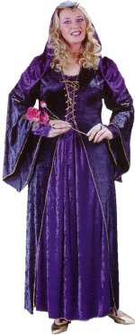 Unbranded Fancy Dress - Adult Velvet Juliet Costume (FC)