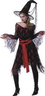 Unbranded Fancy Dress - Adult Wanton Witch Costume Small