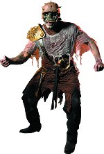 Unbranded Fancy Dress - Adult Warrior Lord Gravelord Costume