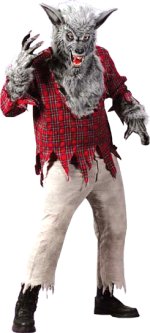 Includes shirt, mask and gloves.