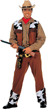 Unbranded Fancy Dress - Adult Western Cowboy Costume
