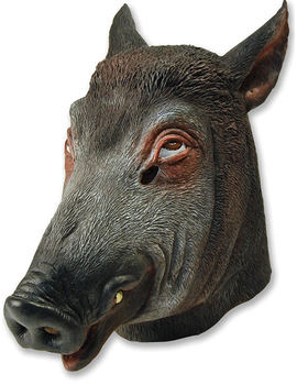 Unbranded Fancy Dress - Boar Mask