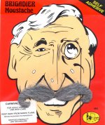Unbranded Fancy Dress - Brigadier Moustache - Grey