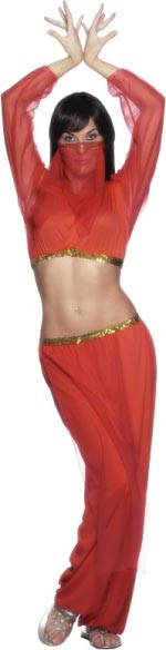 Fancy Dress - Budget Harem Costume Extra Large