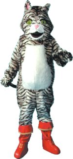 Unbranded Fancy Dress - Cat Mascot Costume