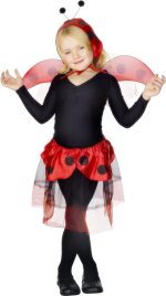 Unbranded Fancy Dress - Child Ladybird Costume Set