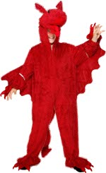 Unbranded Fancy Dress - Child Red Dragon Costume