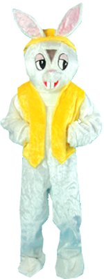 Unbranded Fancy Dress - Easter Bunny Mascot Costume