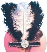 Unbranded Fancy Dress - Feather Follies Headpiece
