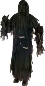 Unbranded Fancy Dress - Lord of the Rings Ringwraith Adult Costume