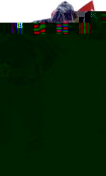 Unbranded Fancy Dress - Luxury Cavalier Cat Mascot Costume