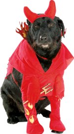 Unbranded Fancy Dress - Pet DevilD Dog Costume Small