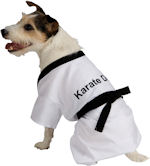 Unbranded Fancy Dress - Pet Karate Costume Extra Large