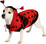 Unbranded Fancy Dress - Pet Ladybug Costume Extra Large