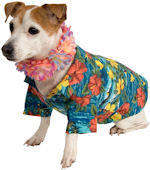 Unbranded Fancy Dress - Pet Luau Costume Small