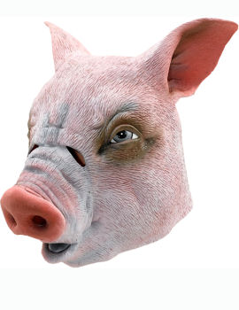 Unbranded Fancy Dress - Pig Mask