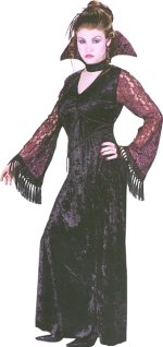 Unbranded Fancy Dress - Teen Gothic Lace Vamp Costume