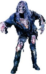 Unbranded Fancy Dress - Teen Halloween Complete Zombie Costume