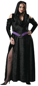 Unbranded Fancy Dress Costumes - Adult Elite Quality Sorceress (FC) XXL