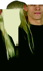 Unbranded Fancy Dress Costumes - Adult Legolas Wig