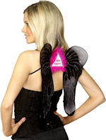 Unbranded Fancy Dress Costumes - Black and Silver Hen Party Wings