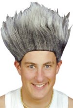 Fancy Dress Costumes - Don King Wig