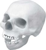 Fancy Dress Costumes - Glow-In-Dark Skull