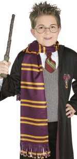 Unbranded Fancy Dress Costumes - Harry Potter Gryffindor Scarf