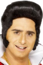 Unbranded Fancy Dress Costumes - Licensed Elvis Wig (Black) High