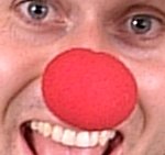 Fancy Dress Costumes - Red Sponge Clown Nose