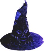Fancy Dress Costumes - Standard Harry Potter Sorting Hat