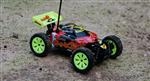 Unbranded Fang Racing Buggy: - Red