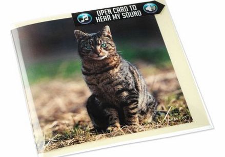 Unbranded Farm Cat Greeting Card with Sound 4552
