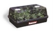 Unbranded Fastgrow Propagator