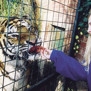 Unbranded Feed the big cats experience