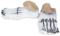 Feet Skeleton Rubber